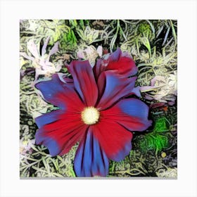 Cosmos Flower Canvas Print