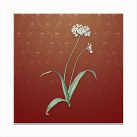 Vintage Spring Garlic Botanical on Falu Red Pattern n.0889 Canvas Print