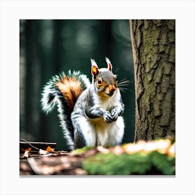 Squirrel In The Forest 136 Canvas Print