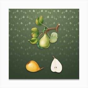 Vintage Pear Botanical on Lunar Green Pattern n.0123 Canvas Print