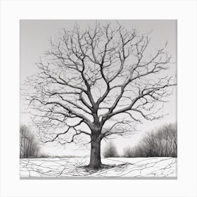 Bare Tree 11 Canvas Print