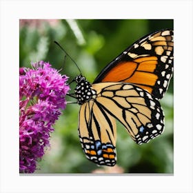 Monarch Butterfly 1 Canvas Print