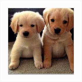 Golden Retriever Puppies Canvas Print