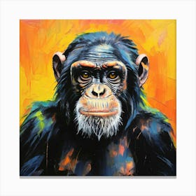 Chimpanzee Canvas Print