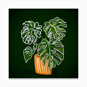 Monstera Plant Tropical Leaves Nature Houseplant Botanical Plant Holes Drawing Floral Canvas Print
