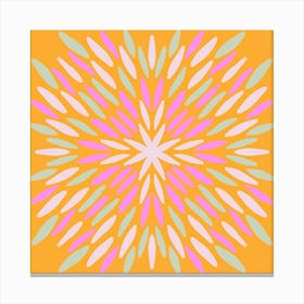 Petal Burst - orange and pink Canvas Print