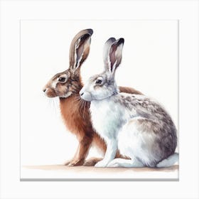 Hares Winter and Summer Canvas Print