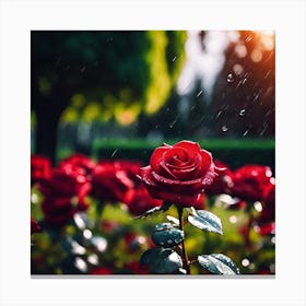 Raindrops Falling on Red Roses Canvas Print