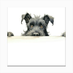 Schnauzer 21 Canvas Print