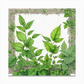 Mint Leaves In A Frame Canvas Print