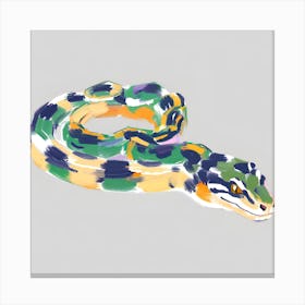 King Snake 08 Canvas Print
