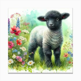 Black, Grey White Lamb Canvas Print