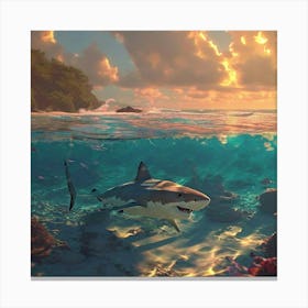 Shark Bay Canvas Print