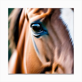 Close Up Of A Horse'S Eye 10 Canvas Print