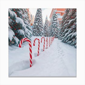 Candy Canes Canvas Print