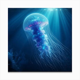 Jellyfish - Jellyfish Stock Videos & Royalty-Free Footage Canvas Print