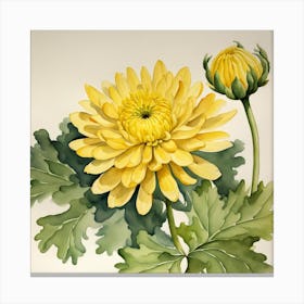 Yellow Chrysanthemum Canvas Print