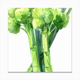 Watercolor Illustration Of Broccoli Canvas Print