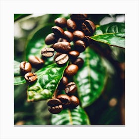 Coffee Beans On The Tree 5 Canvas Print