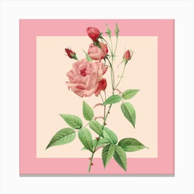 Pink Roses 1 Canvas Print