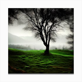 Stoic And Serene Canvas Print