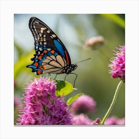 Butterfly On Purple Flower 1 Canvas Print