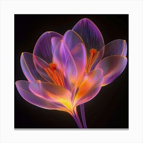 Crocus Flower Canvas Print