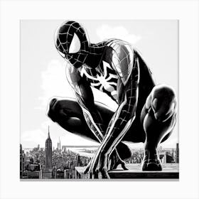 Spider-Man 1 Canvas Print