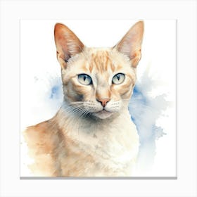 Colorpoint Shorthair Cat Portrait 1 Canvas Print