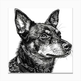 Canaan Dog Line Sketch 2 Canvas Print