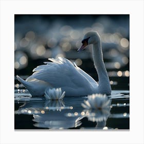 Swan In Water 1 Canvas Print