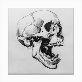 Skull Drawing 1 Canvas Print