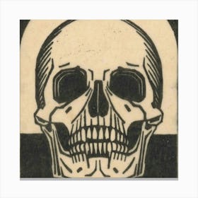 Skull And Crossbones 1 Canvas Print