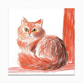 Orange Cat 1 Canvas Print