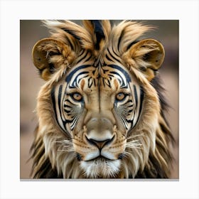 Zebra striped lion Canvas Print