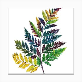 Rainbow Fern Canvas Print