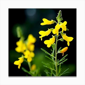 Yellow Flowers Canvas Print