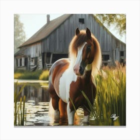Beautiful Pinto Horse In The Pond Copy Canvas Print