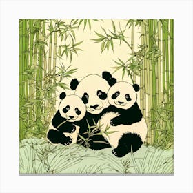 Panda Bears Canvas Print