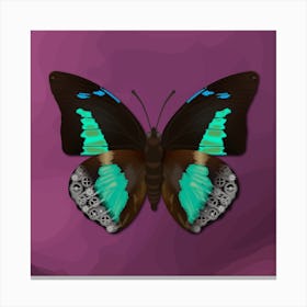 Mechanical Blue Butterfly The Doxocopa Cherubina On A Lilac Background Canvas Print