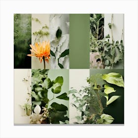 Collage Texture Photography Pictures Fonts Pastel Botanical Plants Layered Mixed Media Vi (17) Canvas Print