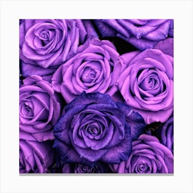 Purple Roses Canvas Print
