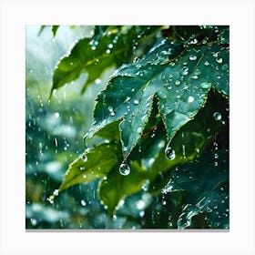Raindrops On Leaves 4 Canvas Print