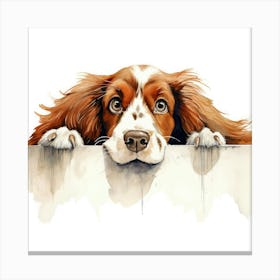 Spaniel Welsh Springer 6 Canvas Print