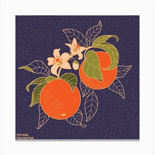 Orange Branch Square Canvas Print