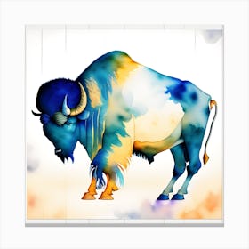 Buffalo_2 Canvas Print