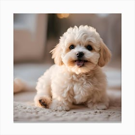 Cute Puppy Canvas Print