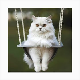 White Cat On Swing Canvas Print