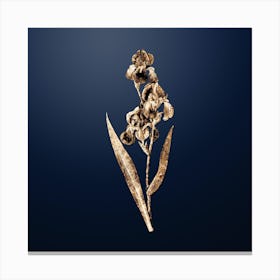 Gold Botanical Dalmatian Iris on Midnight Navy n.0111 Canvas Print