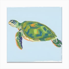 Green Sea Turtle 08 Canvas Print